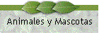 Animales y Mascotas