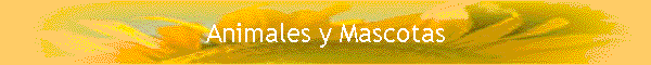 Animales y Mascotas