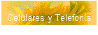 Celulares y Telefona