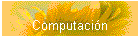 Computacin