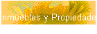Inmuebles y Propiedades